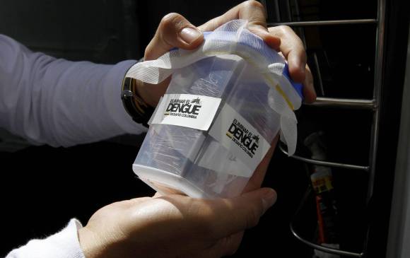 Mosquitos contra el zika volarán por todo Medellín